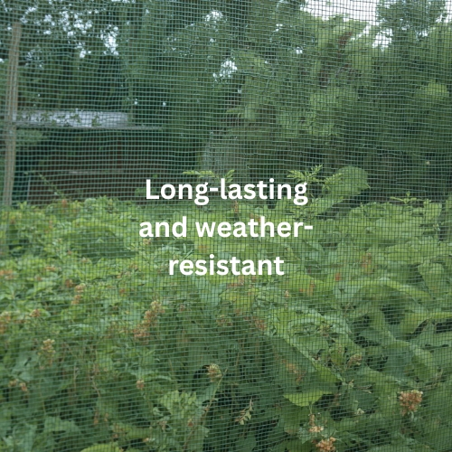 Long-lasting and weather-resistant