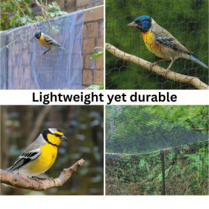 Lightweight yet durable