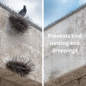 Prevents bird nesting and droppings