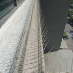 bird spike service image