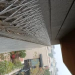 bird spike service image