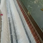 bird spike service image