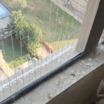 bird spike service image