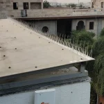 bird spike service image